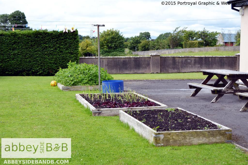 Abbeyside B&B Ballintober  Esterno foto